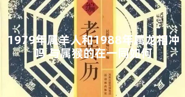 1979年属羊人和1988年属龙相冲吗 与属猴的在一同如何